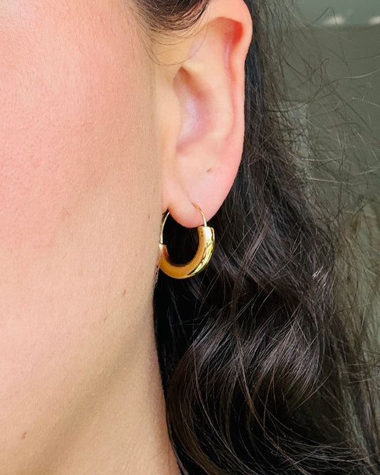 Chunky Semicircle Hoops